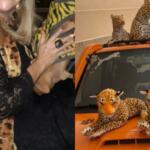 'Mulher onça' de MS explica origem de sua personalidade felina