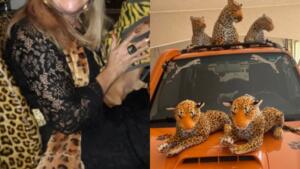 'Mulher onça' de MS explica origem de sua personalidade felina