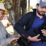 Dourados inicia vacinação contra raiva de animais acolhidos por protetores e ONGs