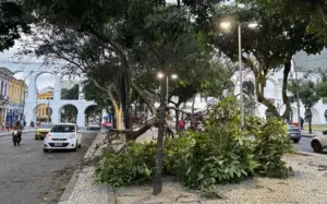 Polícia investiga morte de três eletrocutados após ventania no Rio