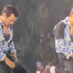 ziper harry styles