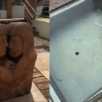 CG127: Perna de mesa vira escultura e calçada registra cena histórica: o outro lado dos monumentos de CG
