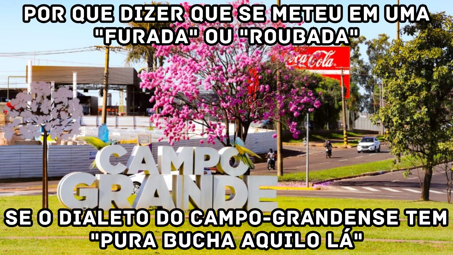 dicionario campo grande