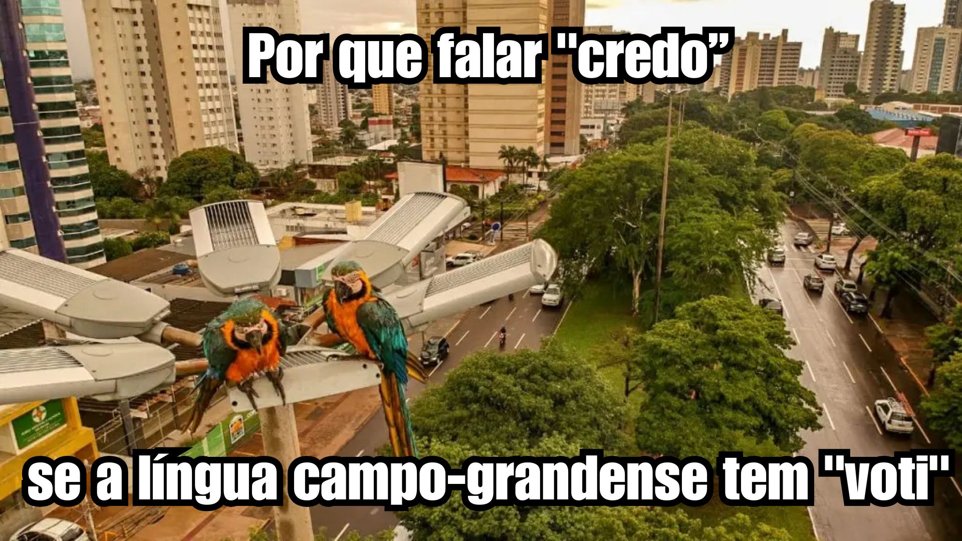 dicionario campo grande