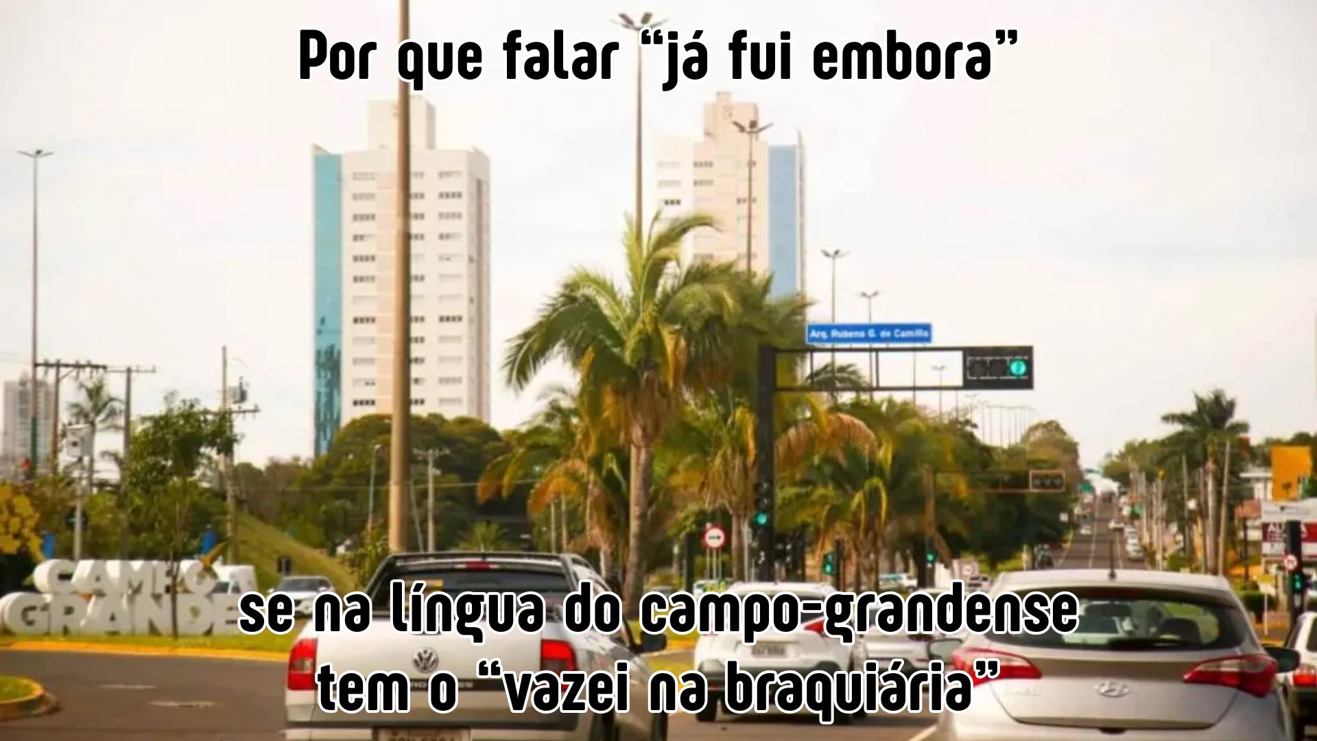 dicionario campo grande