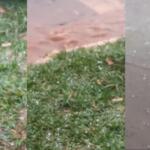 VÍDEO: Após ventania, ciclone-bomba causa temporal com granizo em Antônio João