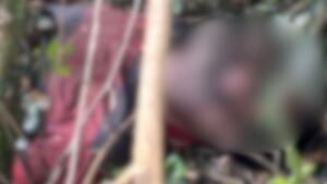 Corpo em estado avançado de decomposição é encontrado em fazenda de Caarapó