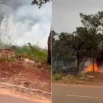 VÍDEO: Siriema é flagrada em meio a incêndio em terreno no Bairro Bom Retiro