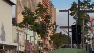 ‘BBB’ nas ruas? Moradores aprovam monitoramento em tempo real em vias de Campo Grande