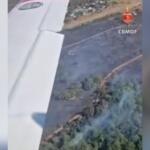 Grande incêndio atinge área de reserva do Zoológico de Brasília