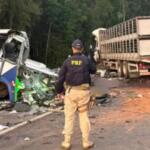 Acidente na BR-373 entre micro-ônibus municipal e carreta deixa 23 mortos no Paraná