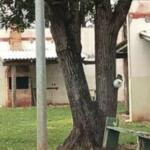 Corpo carbonizado é encontrado em balneário de Naviraí