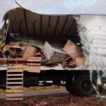Caminhoneiro de 30 anos morre durante acidente na BR-267 em Nova Andradina