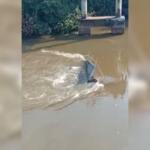 VÍDEO: Ponte desaba e motorista de carreta morre no Rio Taquari