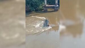 VÍDEO: Ponte desaba e motorista de carreta morre no Rio Taquari