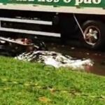 Motociclista morre ao bater na traseira de caminhão parado em Dourados