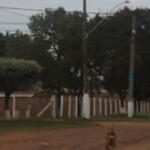 Moradores do Noroeste temem vingança após dupla presa por matar adolescente ganhar liberdade