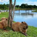 Fauna de Campo Grande
