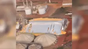 VÍDEO: Armazém de grãos de cooperativa desaba em São Gabriel do Oeste