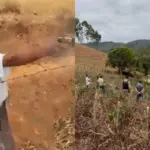 Idoso mata vizinho e é morto por filho da vítima após briga sobre pé de manga em MG