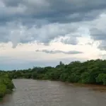 Pardo baixa nível e MS tem três rios em situação de estiagem