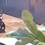 Morador é baleado ao ser chamado ao portão no bairro Pindorama em Sidrolândia