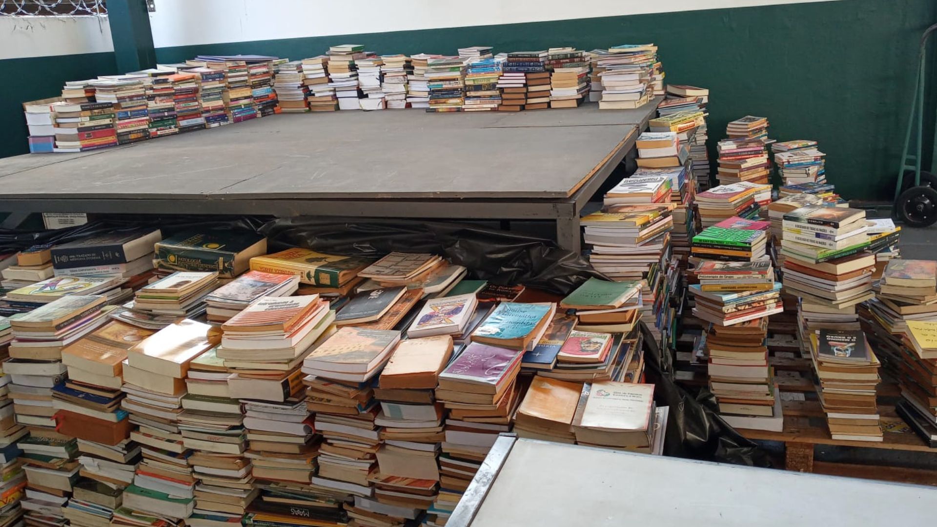 Gibiteca de Campo Grande fará drive-thru para arrecadar livros neste fim de semana