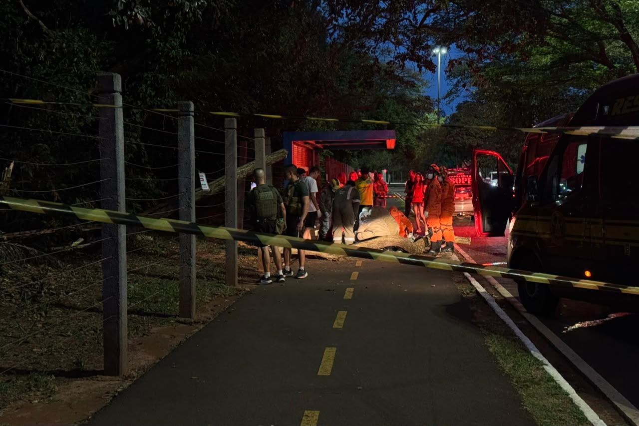 Governo do Estado lamenta morte de jovem atingida por árvore no Parque dos Poderes