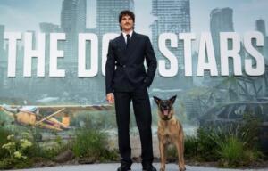 Jacob Elordi leva seu co-estrela canino ao tapete vermelho de “Ponto Sem Retorno” e encanta a web