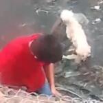 Morador se arrisca e entra em córrego na Ernesto Geisel para resgatar cachorro