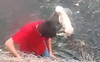 Morador se arrisca e entra em córrego na Ernesto Geisel para resgatar cachorro