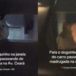 Conhece? American bully ‘sentindo o vento na cara’ viraliza ao passear de carro por Campo Grande