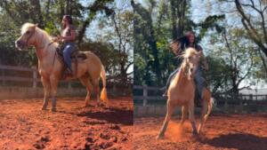Nem só do palco vive a Boiadeira: Ana Castela mostra técnica para prova a cavalo
