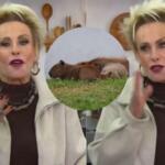 ana maria braga campo grande