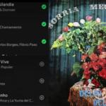 Qual é a trilha sonora da sua cidade? ‘Playlist’ liga músicas a municípios de MS