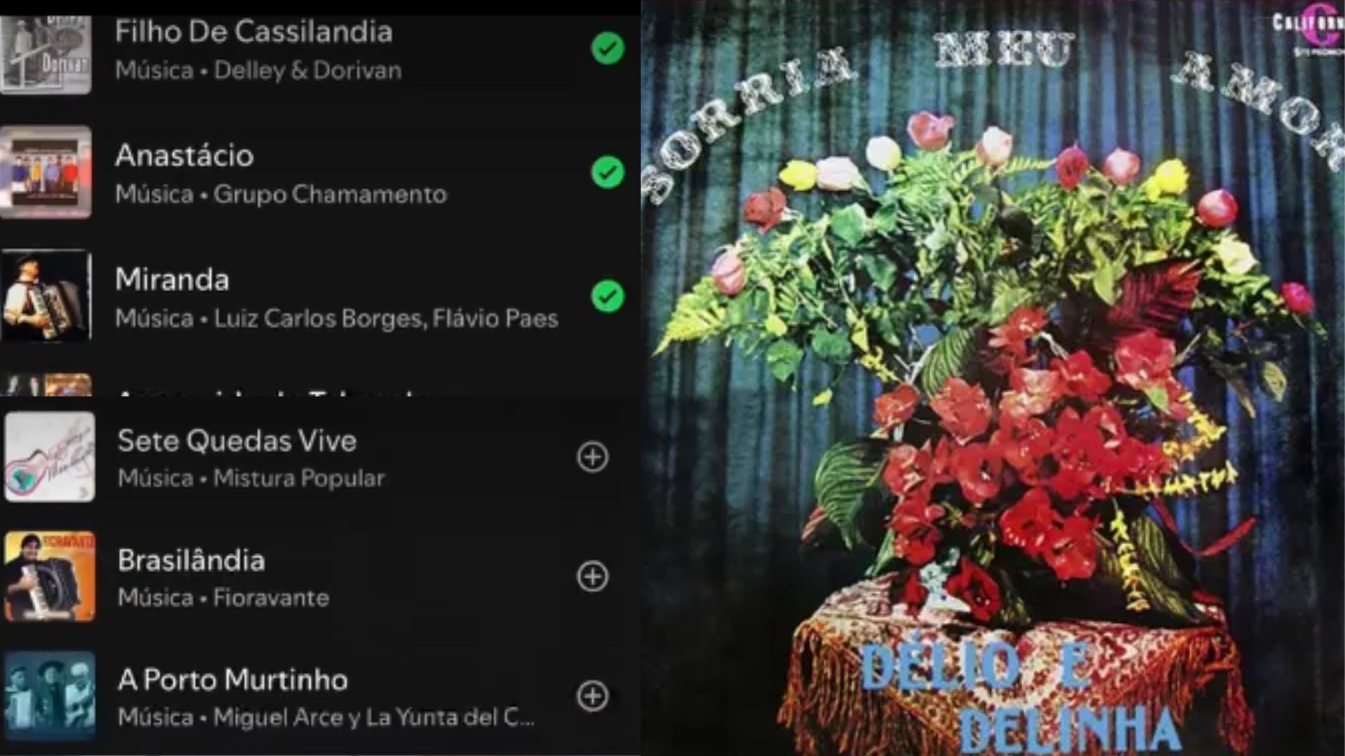 Qual é a trilha sonora da sua cidade? ‘Playlist’ liga músicas a municípios de MS