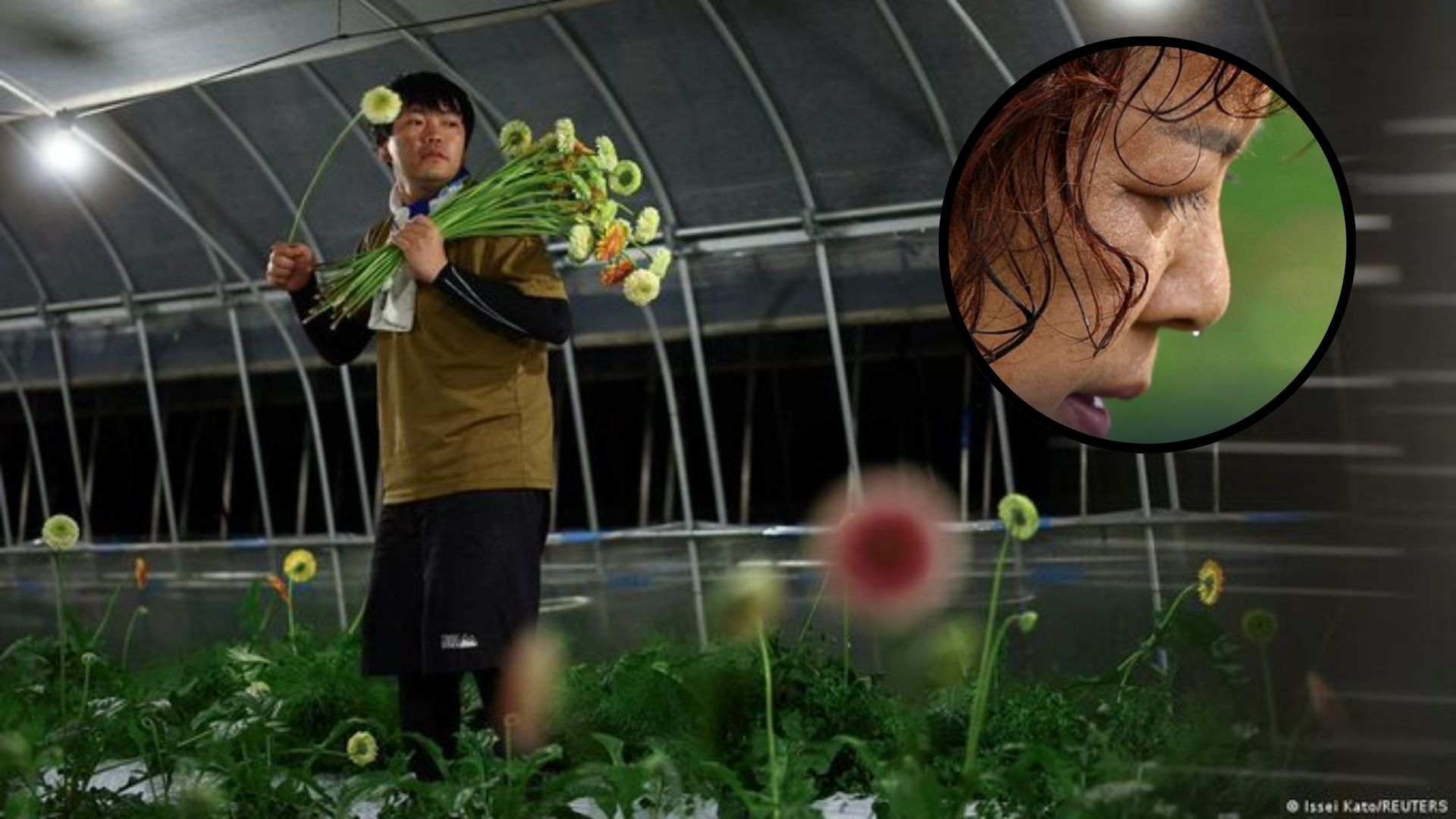 Com casos de insolação, agricultores do Japão trocam o dia pela noite
