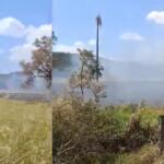 VÍDEO: Incêndio atinge reserva ambiental no assentamento Santa Mônica em Terenos
