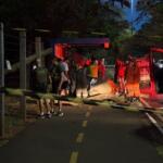 Jovem morre atingida por árvore enquanto andava de patinete no Parque dos Poderes