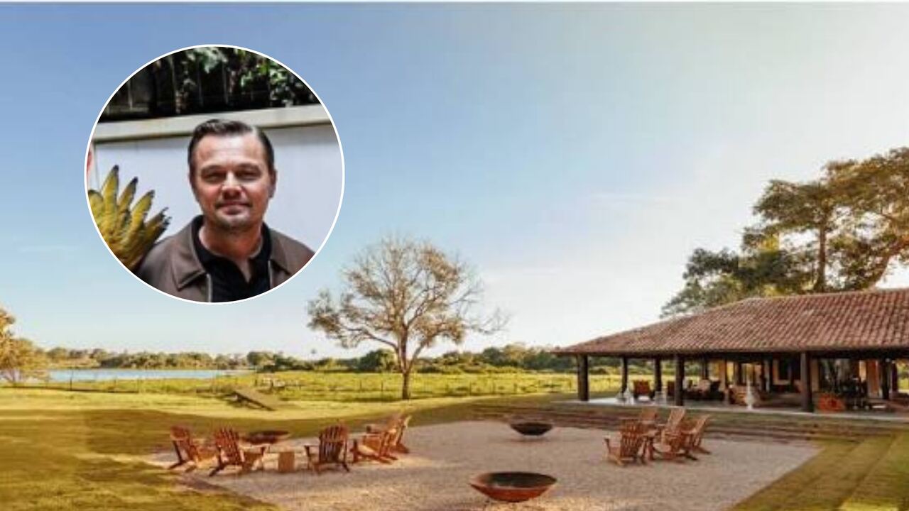 Após passagem por aldeia em MT, Leonardo DiCaprio visita Pantanal de Miranda