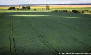 Senado aprova plano para fabricação de fertilizantes no Brasil