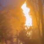 VÍDEO: fogo em bambuzal deixa Chácara dos Poderes sem energia
