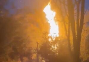 VÍDEO: fogo em bambuzal deixa Chácara dos Poderes sem energia