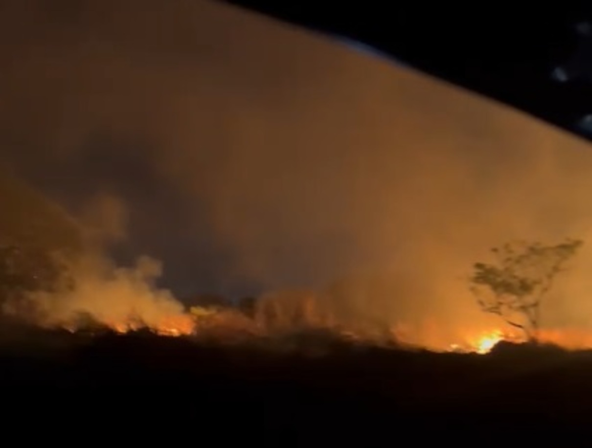 VÍDEO: fogo toma conta em grande área de vegetação na Lúdio Martins Coelho