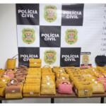 Mulher é presa após ser encontrada com 113 bolsas de luxo avaliadas em R$ 260 mil