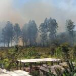 Incêndio atinge vegetação próxima à comunidade no Jardim Noroeste