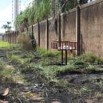 Incêndio em vegetação mobiliza bombeiros na Av. João Arinos