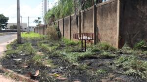 Incêndio em vegetação mobiliza bombeiros na Av. João Arinos