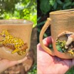 Artesã transforma fauna do Cerrado e do Pantanal de MS em obras de arte em cerâmica