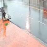 Carma existe? Motociclista cai na sarjeta logo após furtar muda de planta no Monte Líbano